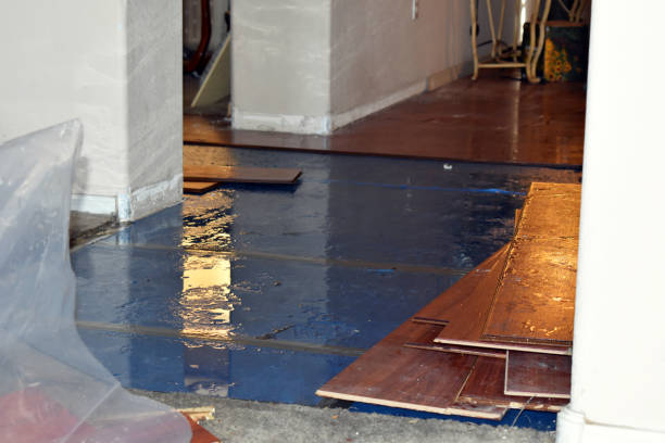 Professional Basement Flood Cleanup technician working in Gleason, TN